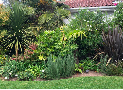 création d'un jardin massif